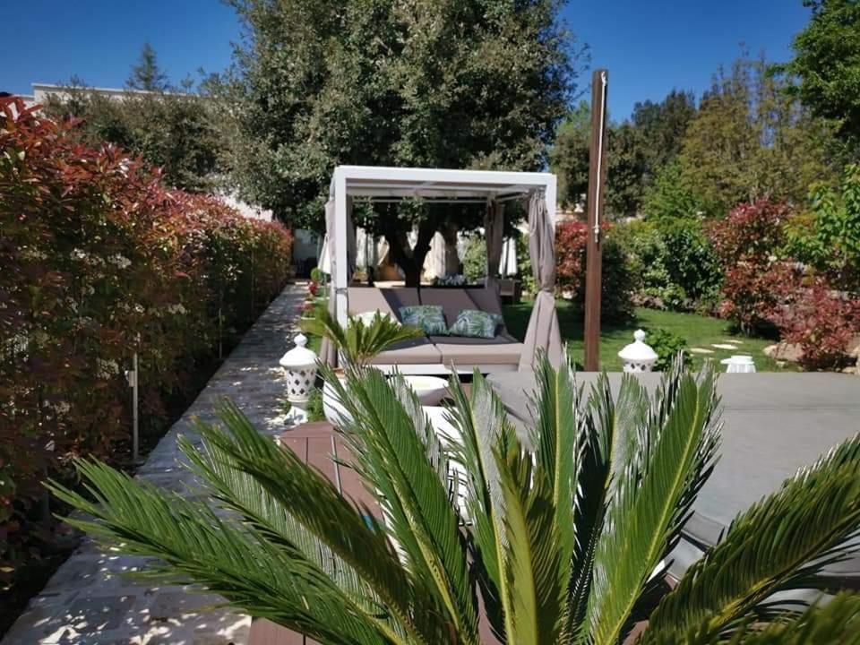 Apulia Dream B&B Le Lamie di Olimpe Exterior photo